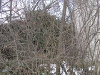 038 Meghatározandó